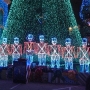 disney-holiday-pictures-37
