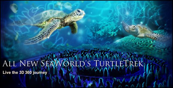 Turtle trek at SeaWorld now open!